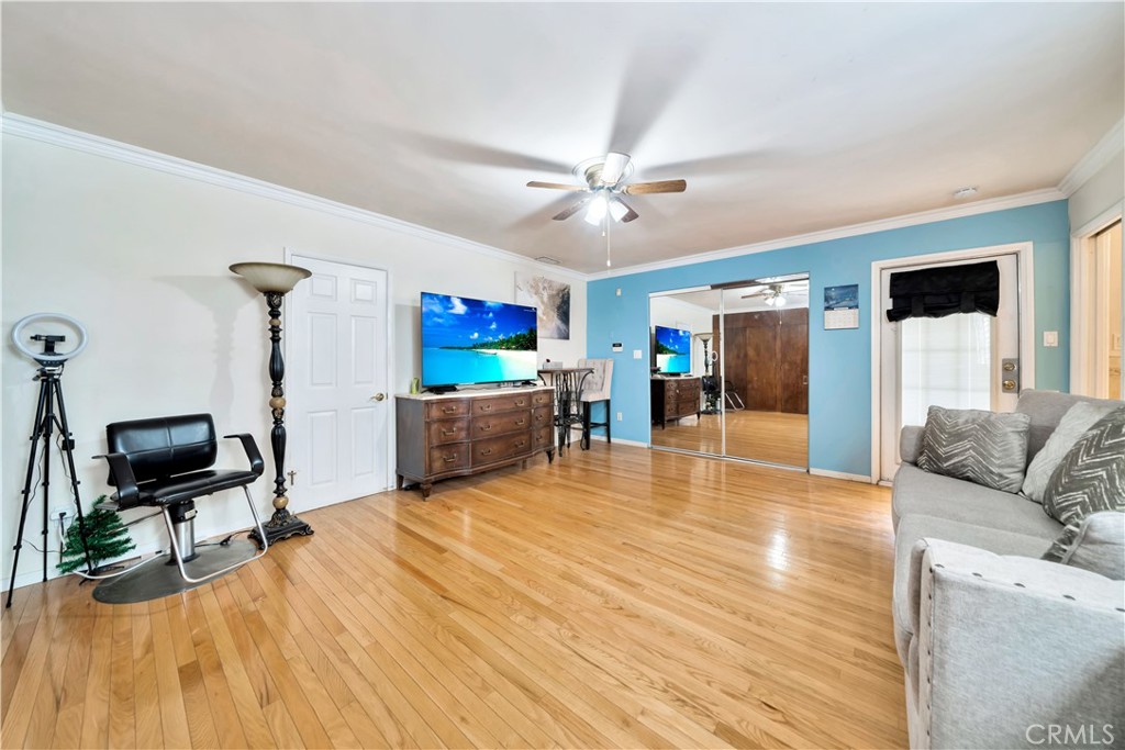 Living room with blue accent wall, ceiling fan, and hardwood floors