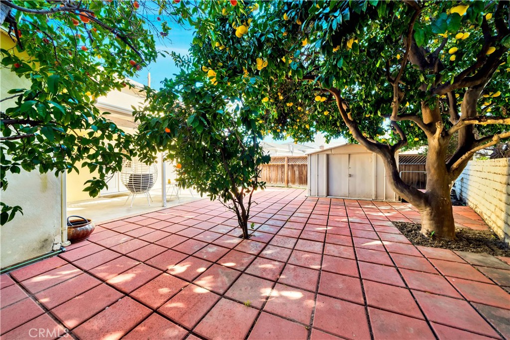 Spacious Patio with Fruit Trees and Storage Shed in Real Estate Listing