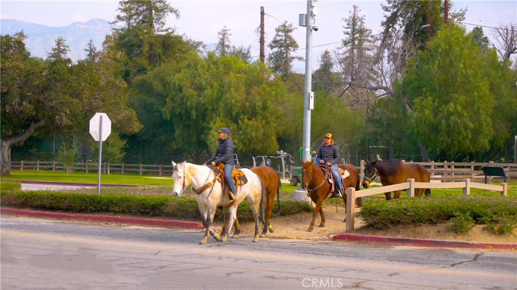 Two People Riding Horses in a Residential Street Near Real Estate Listings