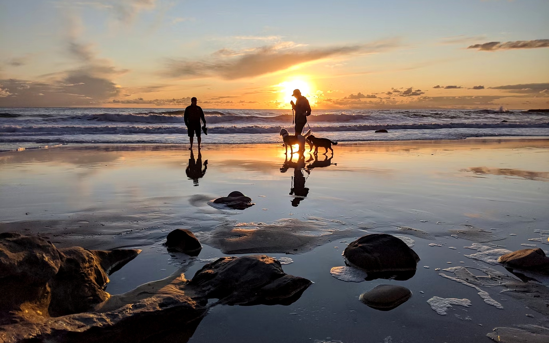 Silhouettes Walking Dogs on Laguna Beach at Sunset, Potential Real Estate Area