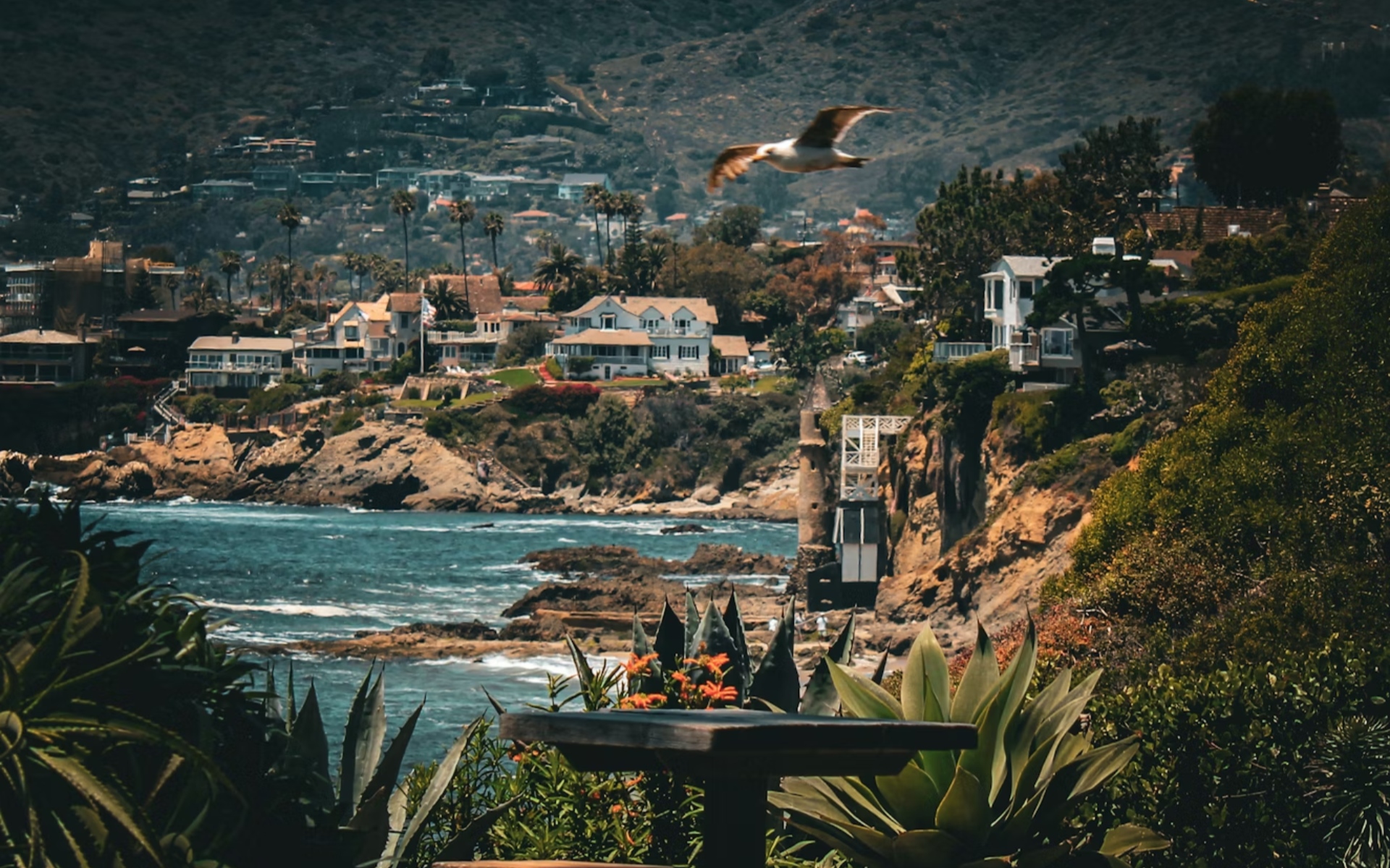Coastal Homes Overlooking Ocean in Laguna Beach, Vibrant Real Estate Scene