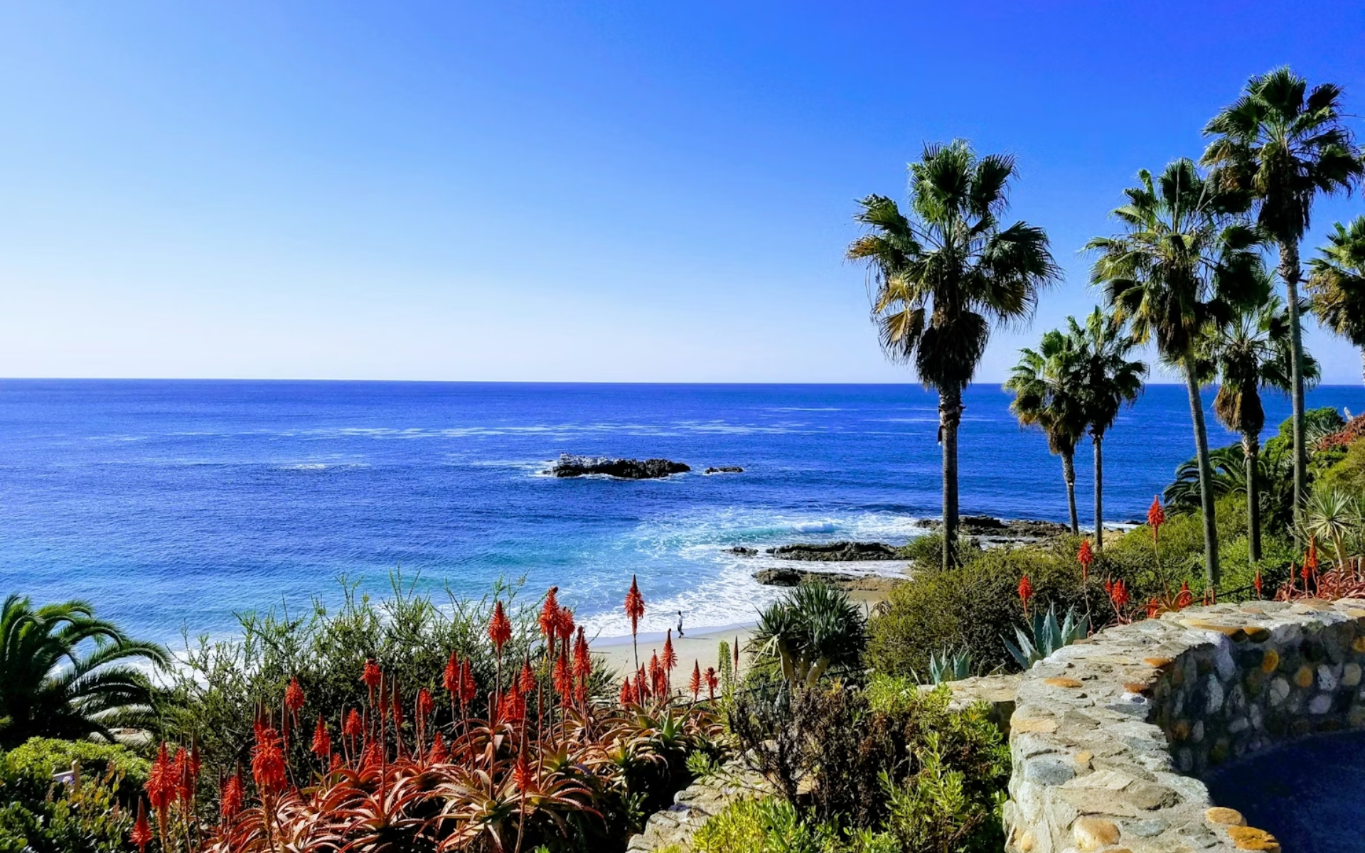Ocean View with Palm Trees and Vibrant Flowers in Laguna Beach Real Estate