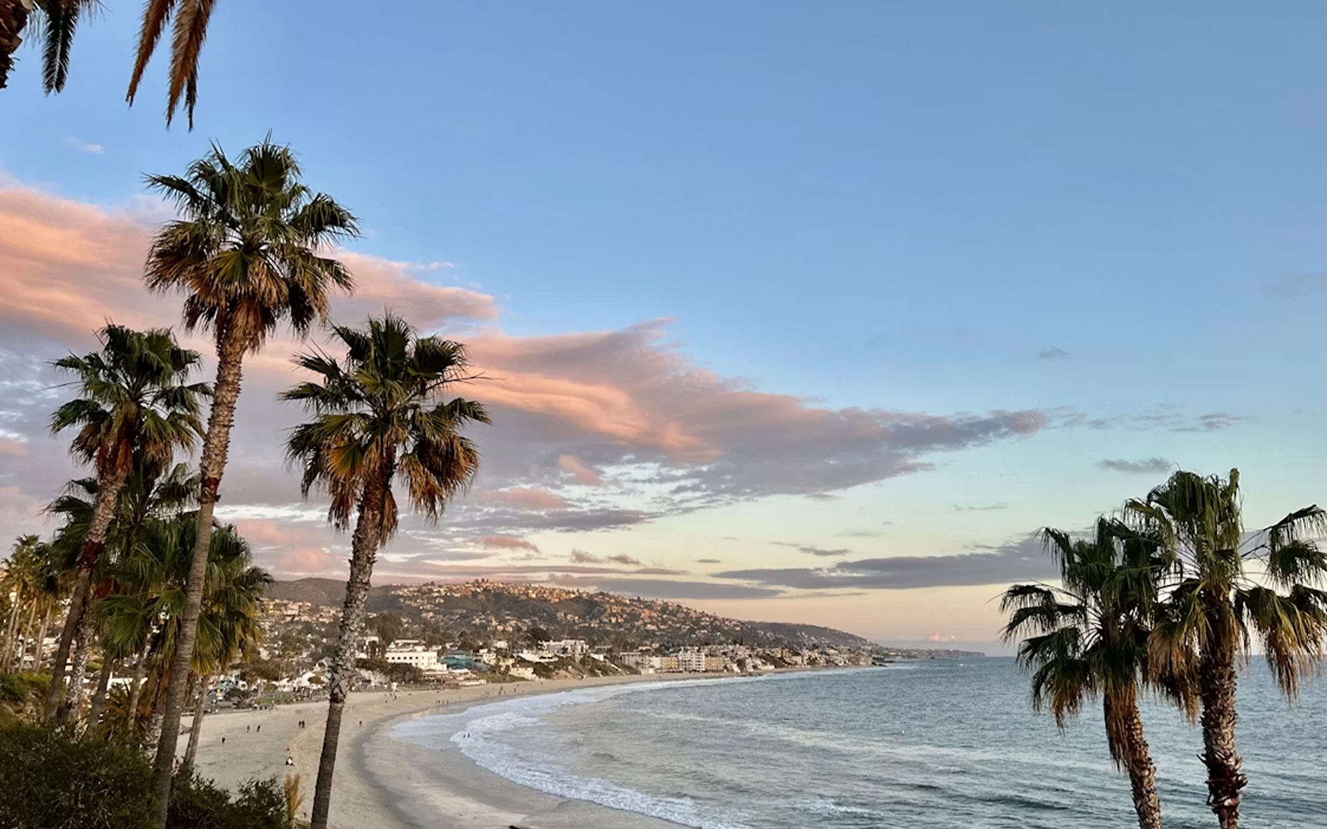 Laguna Beach Coastline with Palm Trees and Ocean View at Sunset